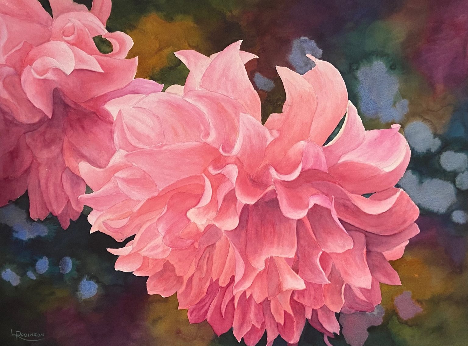 Watercolour Painting by Lynn Robinson of Dahlias