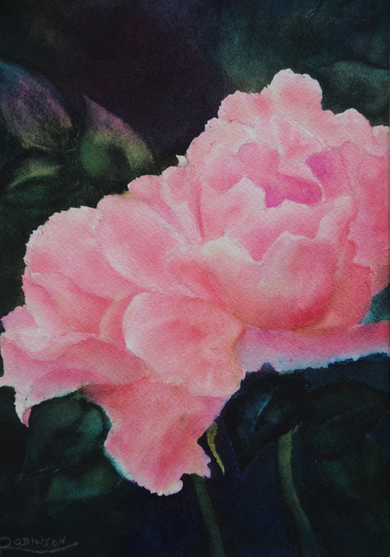 Watercolour painting by Lynn Robinson of pink roses