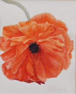 Watercolour painting by Lynn Robinson of Orange Poppy