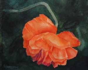 Watercolour painting by Lynn Robinson of Orange poppy