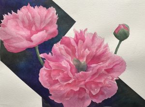 Watercolour painting by Lynn Robinson of pink Dahlias