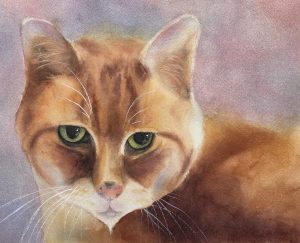 Watercolour painting by Lynn Robinson of Isis the Cat