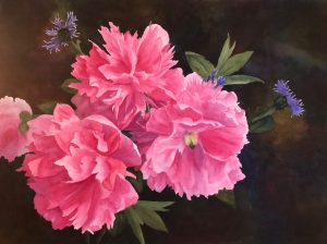 Watercolour painting by Lynn Robinson of Pink Dahlias