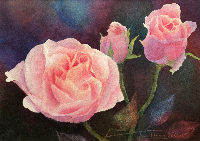 Watercolour painting by Lynn Robinson of Pink Roses (sml)