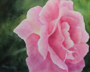 Watercolour paining by Lynn Robinson of Pink Rose